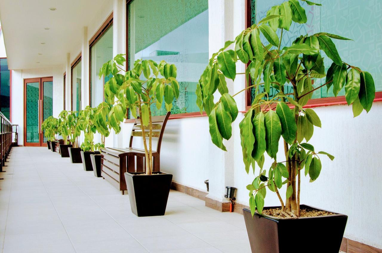 Hotel Boutique Luxury Pachuca Exteriör bild